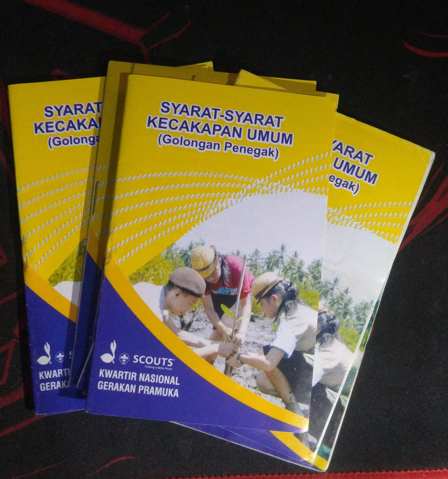 Syarat Kecakapan Umum ( SKU )